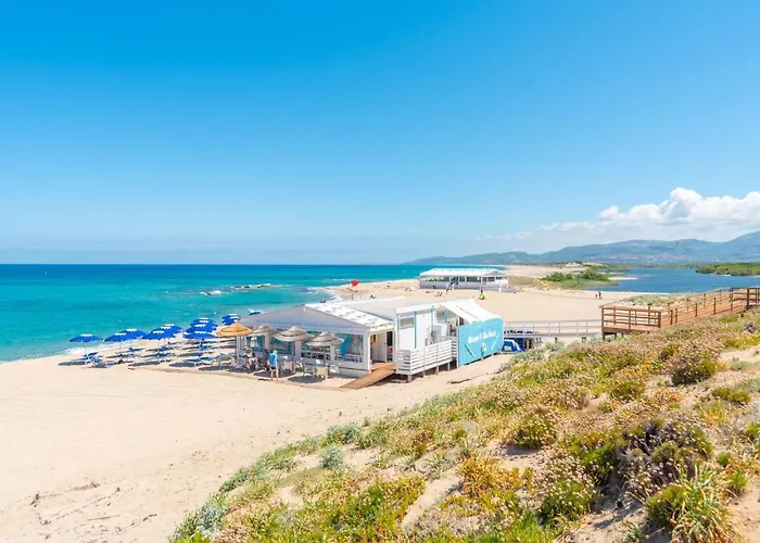 Ananas 1 C By Interhome 瓦雷多利亚