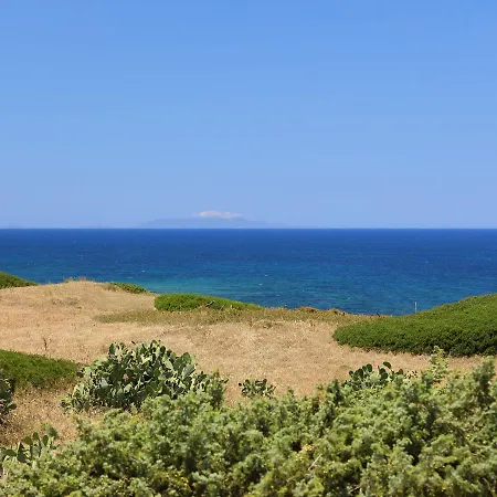 Ananas 1 C By Interhome *