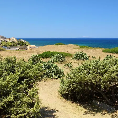 Ananas 1 C By Interhome