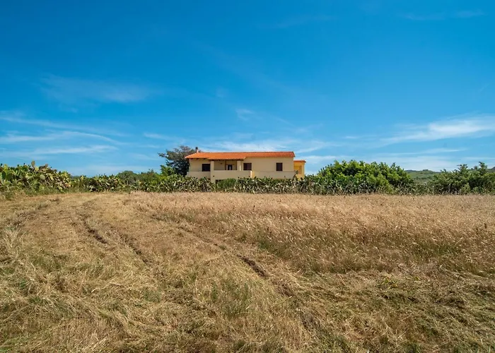 Ananas 1 C By Interhome * Valledoria